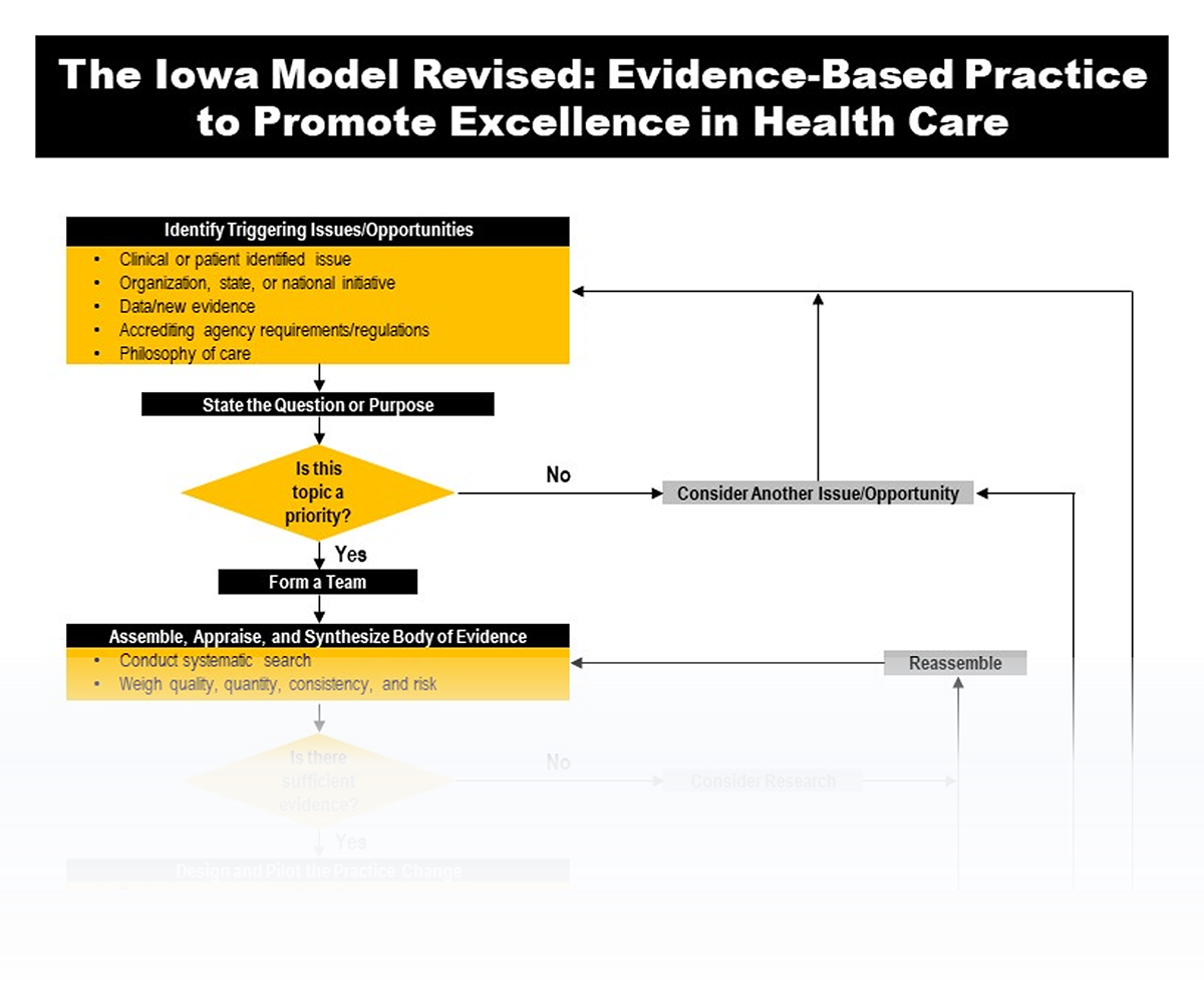 Iowa Model diagram Sept 2022