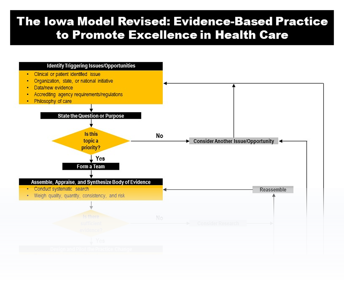 The Iowa Model Revised Evidence Based Practice To Promote Excellence 