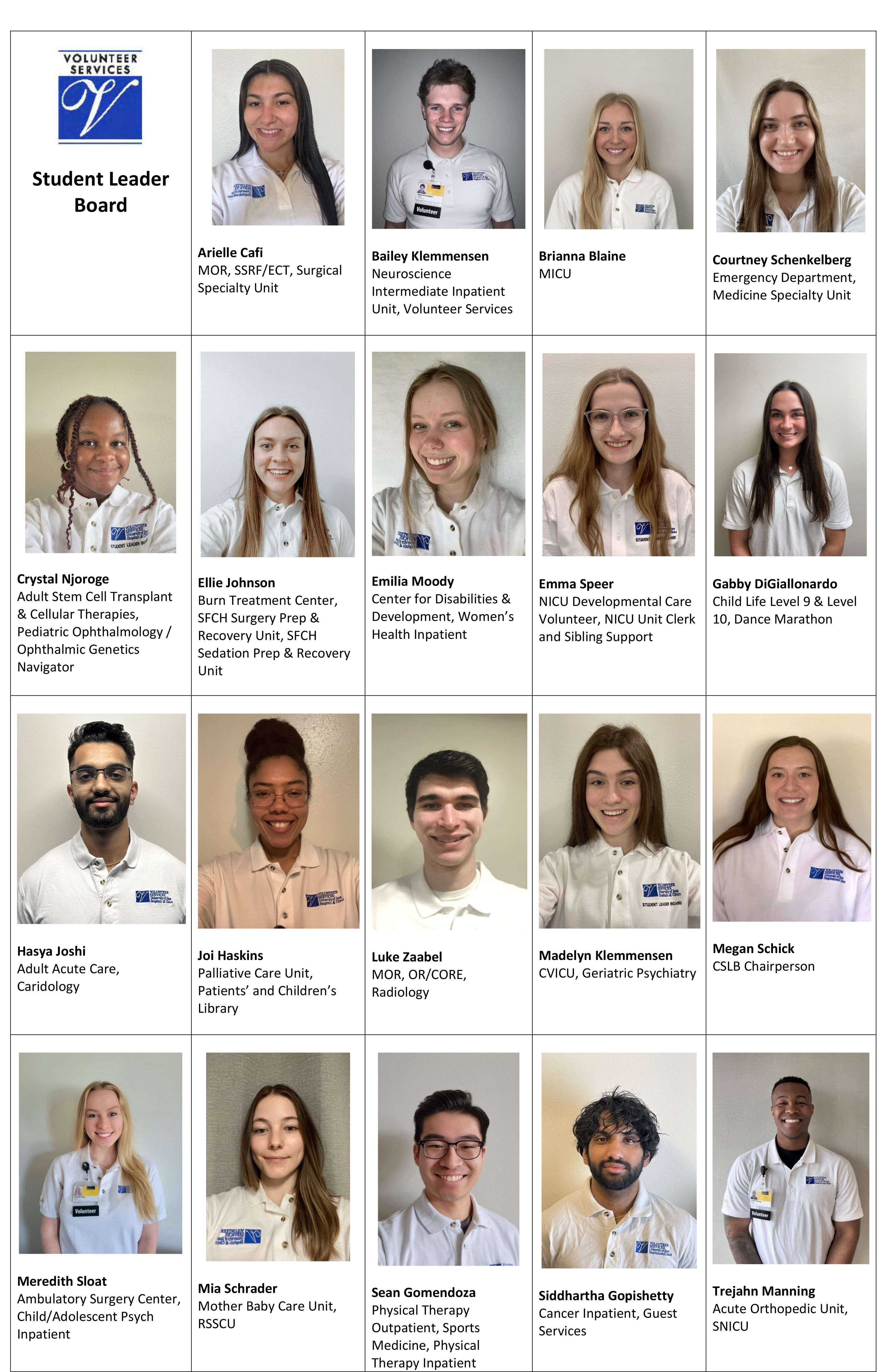 Student Leader Board-Coordinated Volunteer Placement Options