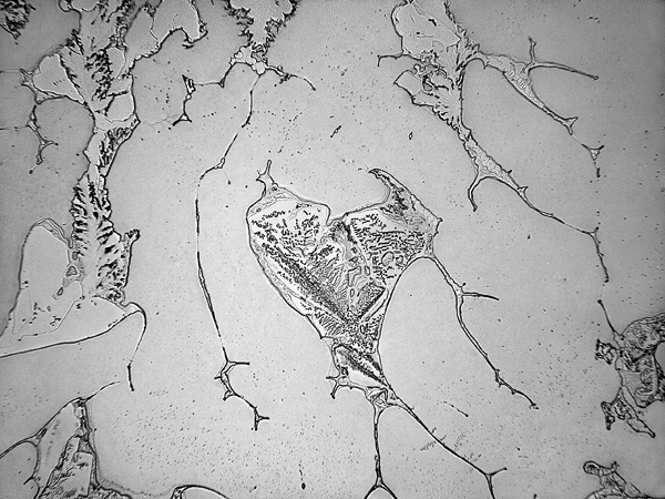 Rose-Lynn Fisher art piece What Couldn't Be Fixed