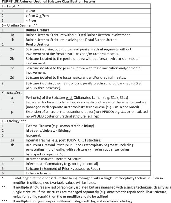 LSE Classification System