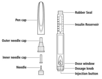 Parts of Insulin diagram.