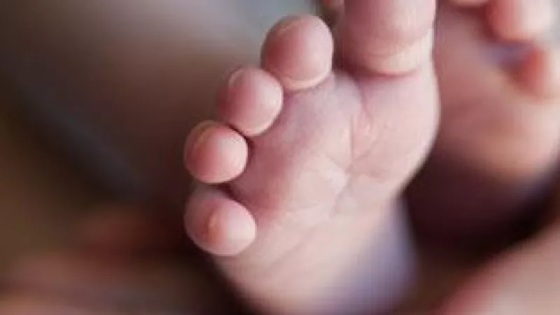 Baby feet held in parent's hands