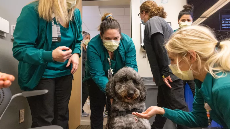 Images of UI Health Care employees with a dog.