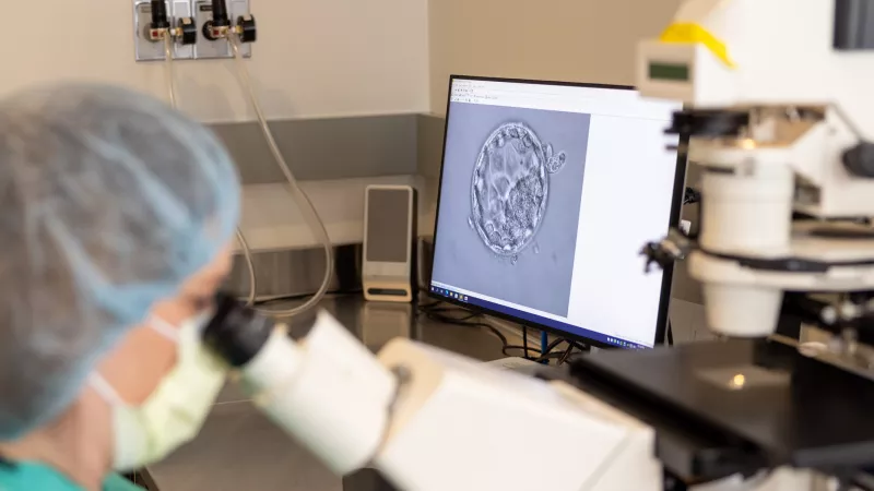 Fertility and Reproductive Endocrinology photo