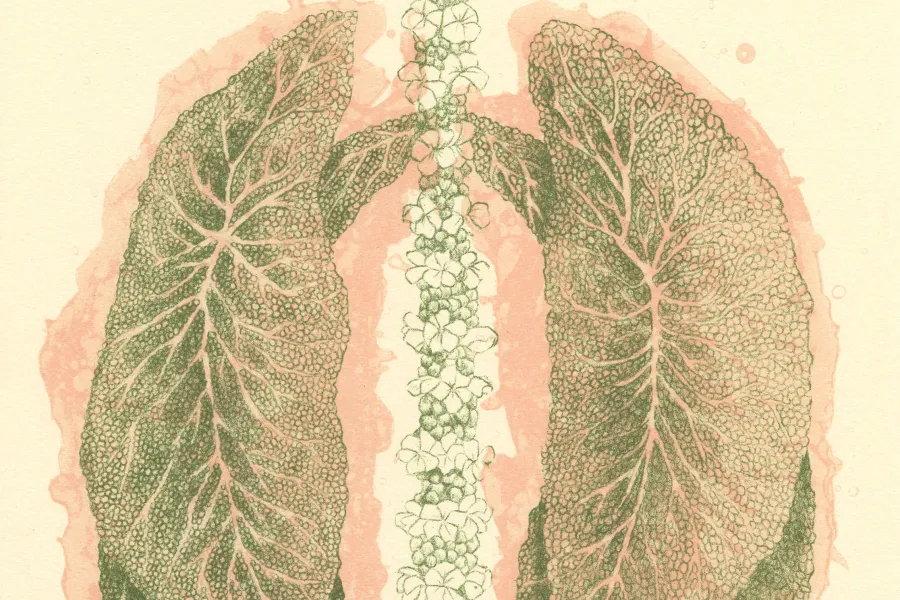 Jennifer Scheuer art