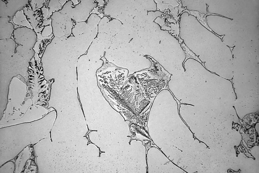 Rose-Lynn Fisher art piece What Couldn't Be Fixed