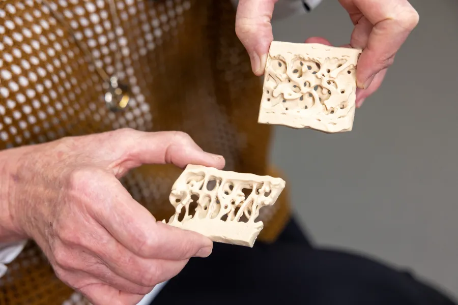 UI Health Care provider holding prop bones