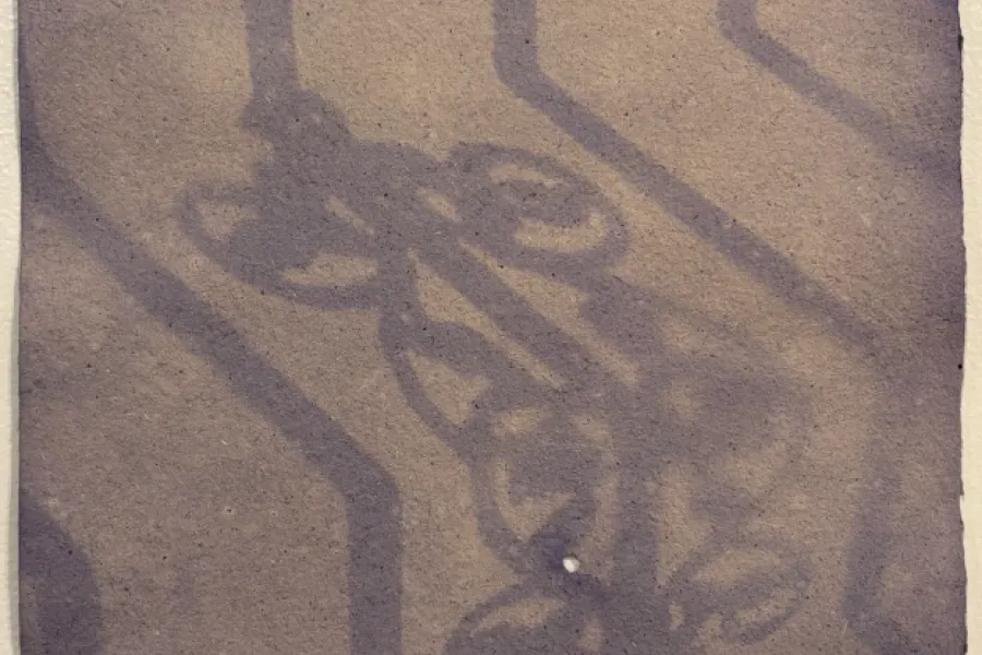 Peaflower anthotype on handmade paper