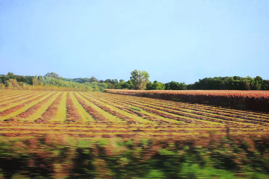 Passing Rows, oil on panel