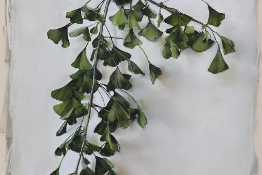 Seeing Deeply by Louise Kames