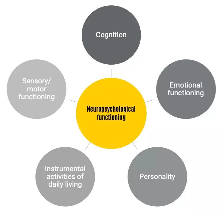 Neuropsychology | University Of Iowa Health Care