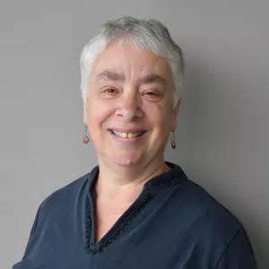 Anne Sales, PhD, RN