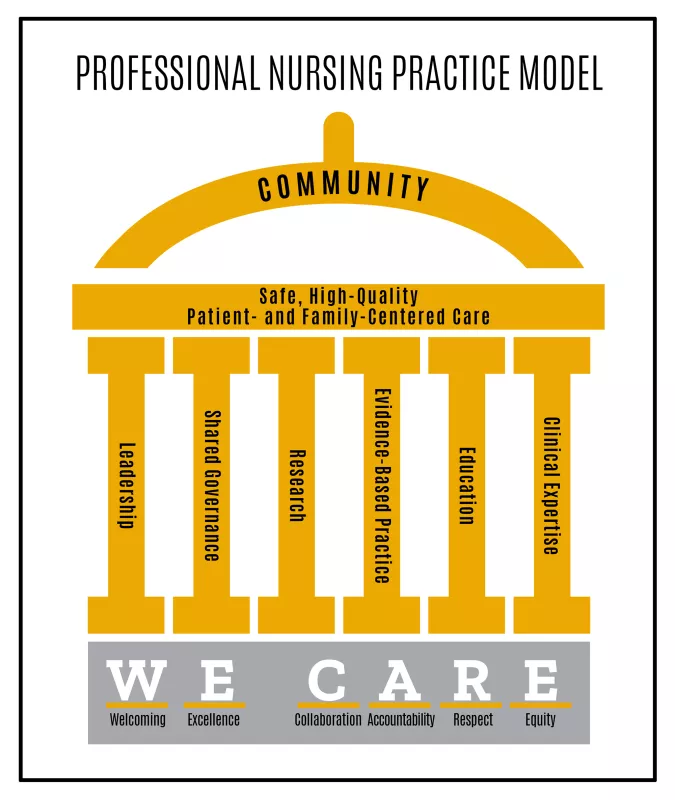 Professional Nursing Practice Model diagram