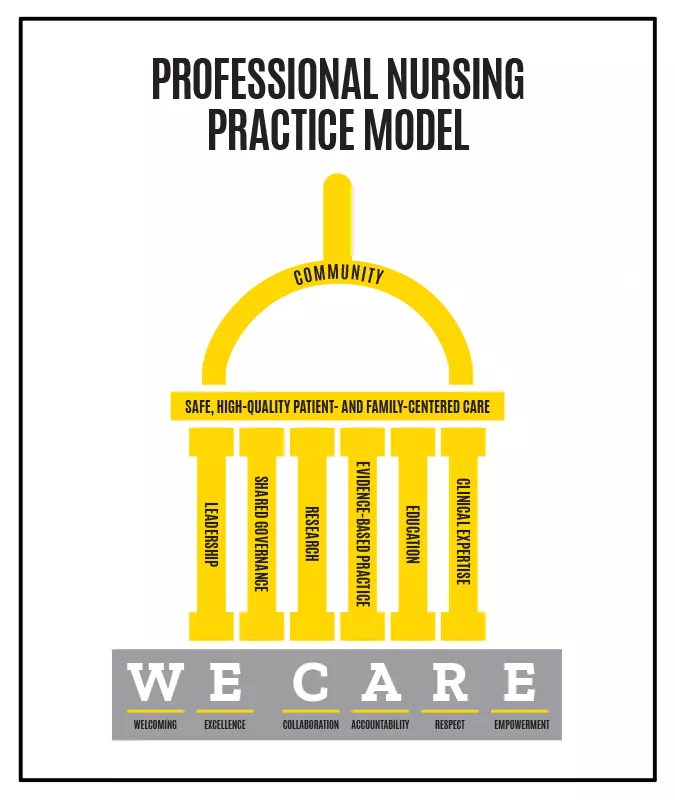 Professional Nursing Practice Model