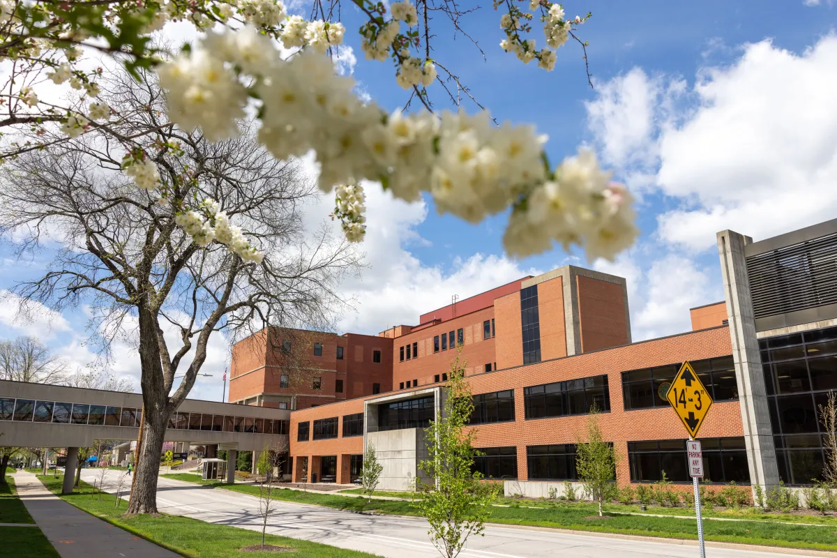 University of Iowa Health Care Medical Center Downtown with flowering trees in spring on Friday, April 19, 2024.
