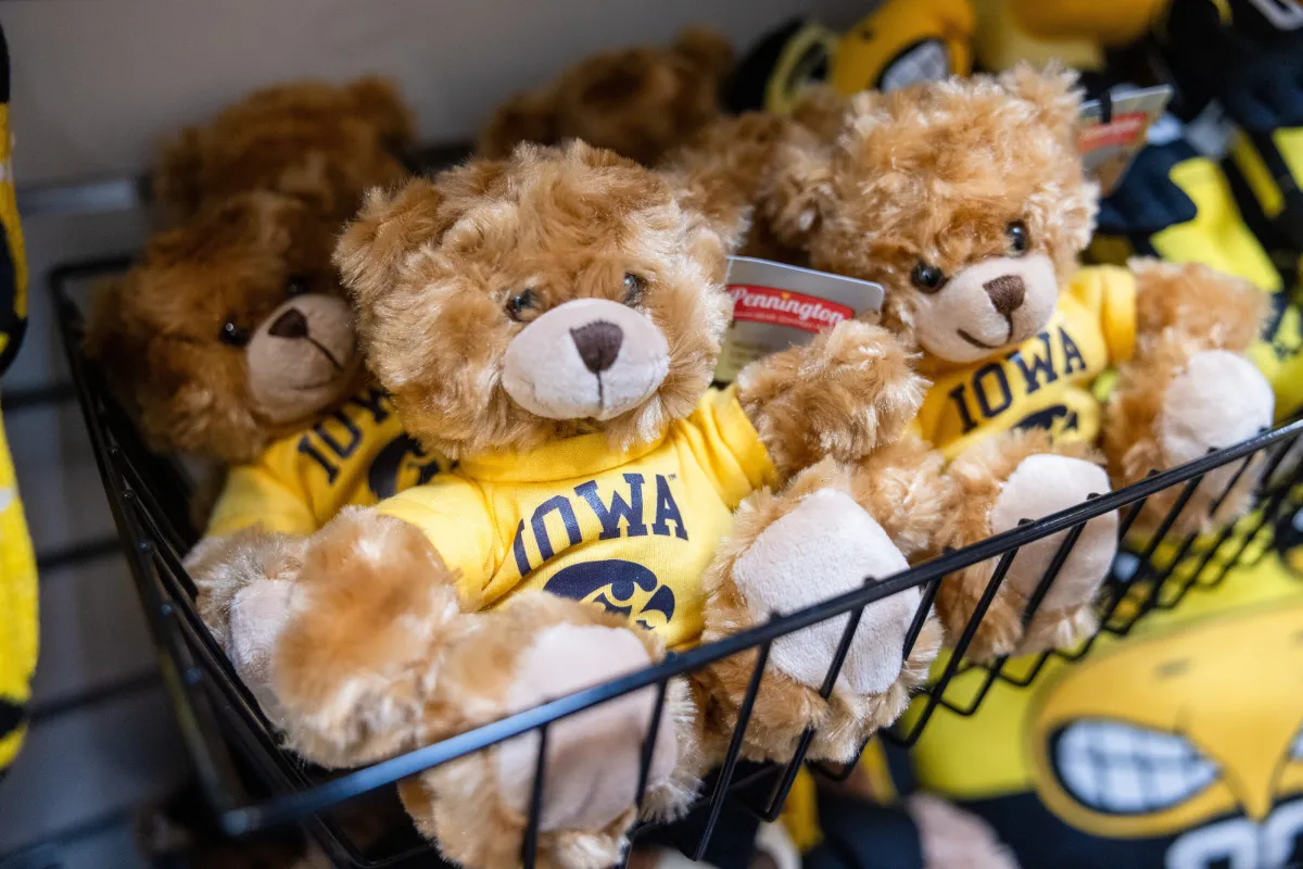 photo of teddy bears