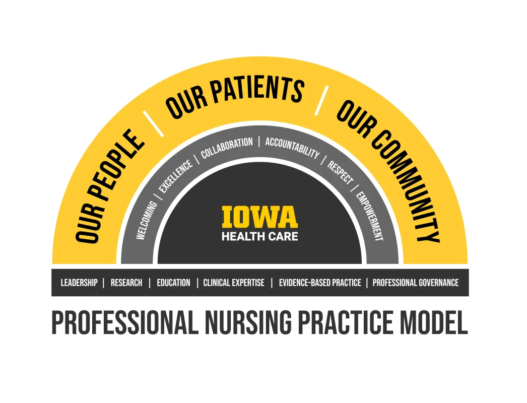 Professional Nursing Practice Model