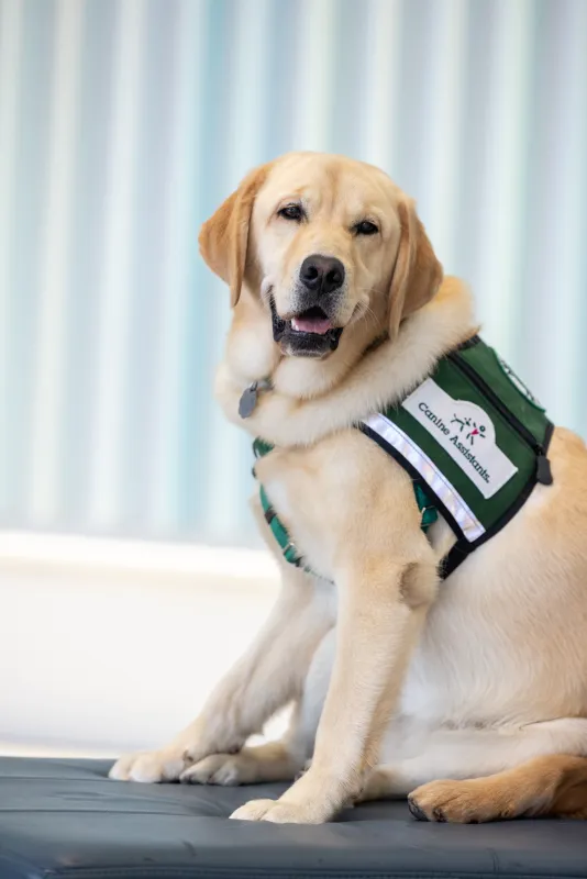 Facility dogs Caitlyn Clark and Nacho at Stead Family Children’s Hospital on Thursday, Sept. 24, 2026.