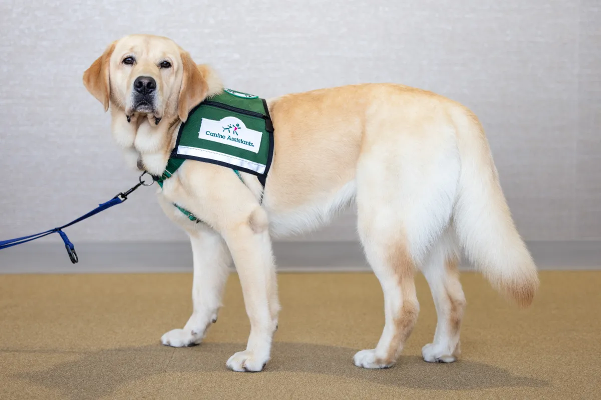 Facility dogs Caitlyn Clark and Nacho at Stead Family Children’s Hospital on Thursday, Sept. 24, 2026.