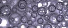 Light microscopy of gas-entrapping foam