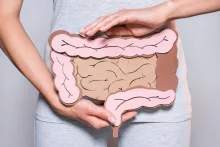 Stock image of a woman holding a cardboard cut-out of a colon