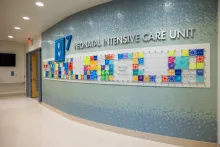 Level 7, Pediatric NICU Stead Family Children's Hospital