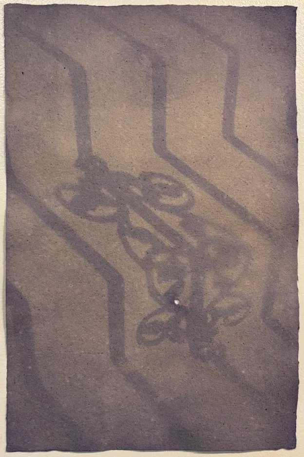 Peaflower anthotype on handmade paper