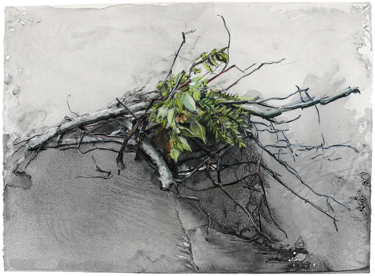 I Don’t See Anything That’s Not Beautiful Drawing, Charcoal and pastel on paper