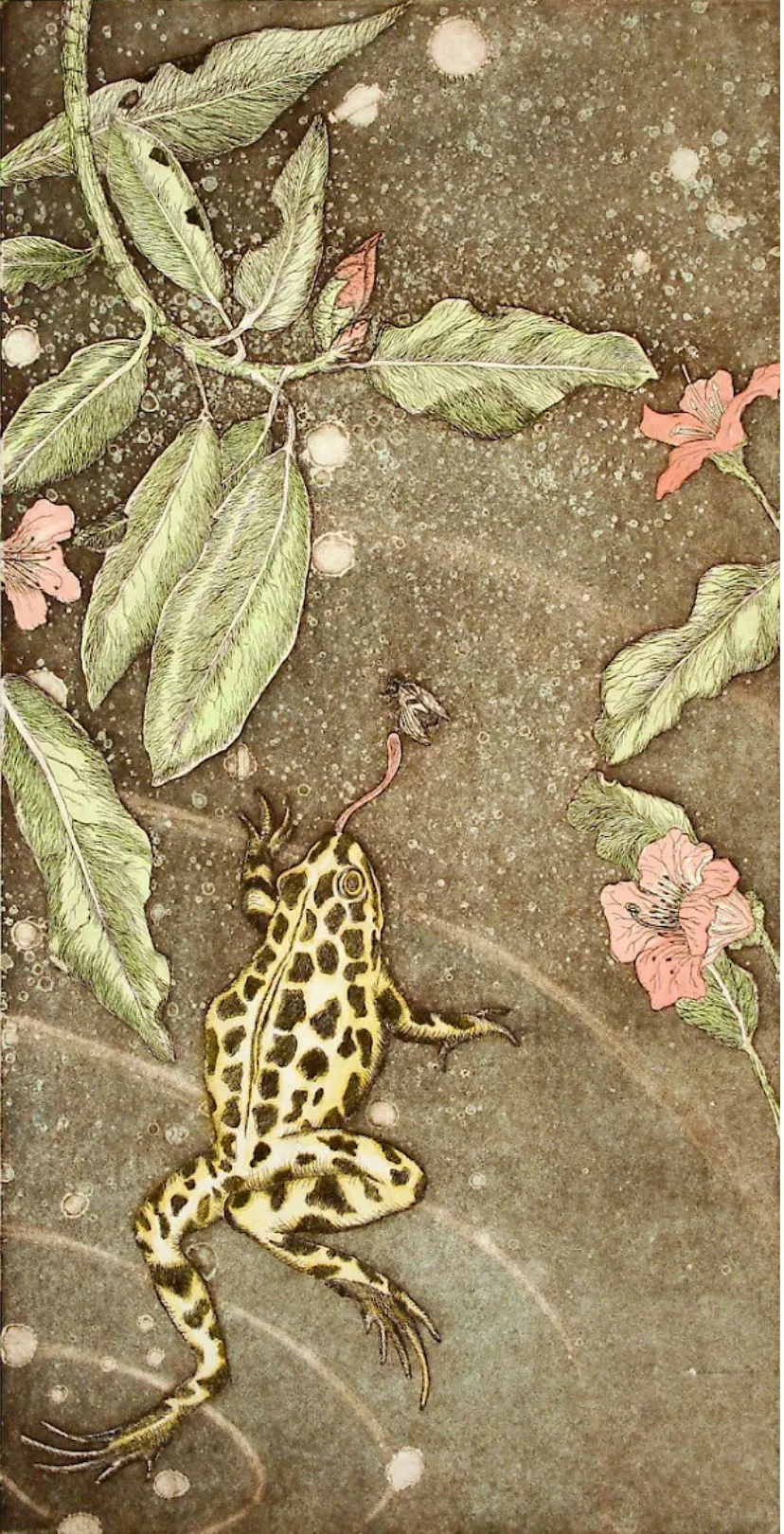 Cascade Spotted Frog with Wild Rhododendron
