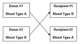 Donor Chart