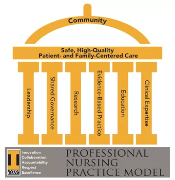 Whole professional nursing practice model graphic