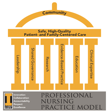 Professional Nursing Practice Model | University of Iowa Hospitals ...